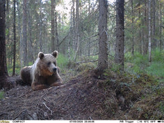 Åtelkamera Compact LTE inbyggt SIM-kort ONE SIZE