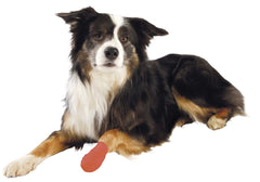 Bandagebinda Bitter, självhäftande, 5 cm/4,5 m ONE SIZE