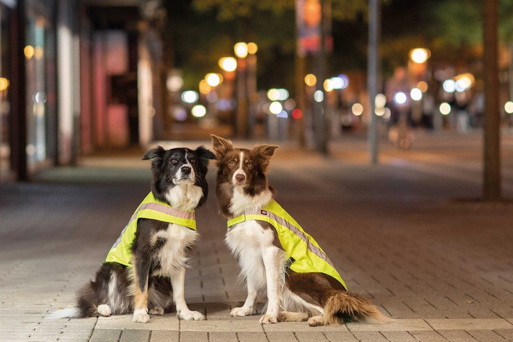 Säkerhetsväst Reflekterande XS 30cm GUL / ONE SIZE