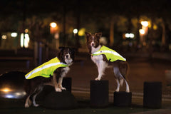 Säkerhetsväst Reflekterande XS 30cm GUL / ONE SIZE