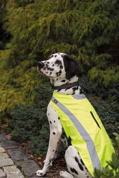 Säkerhetsväst Reflekterande M 50cm GUL / ONE SIZE