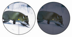 Accupoint 3-9x40 BAC-TRIANGEL