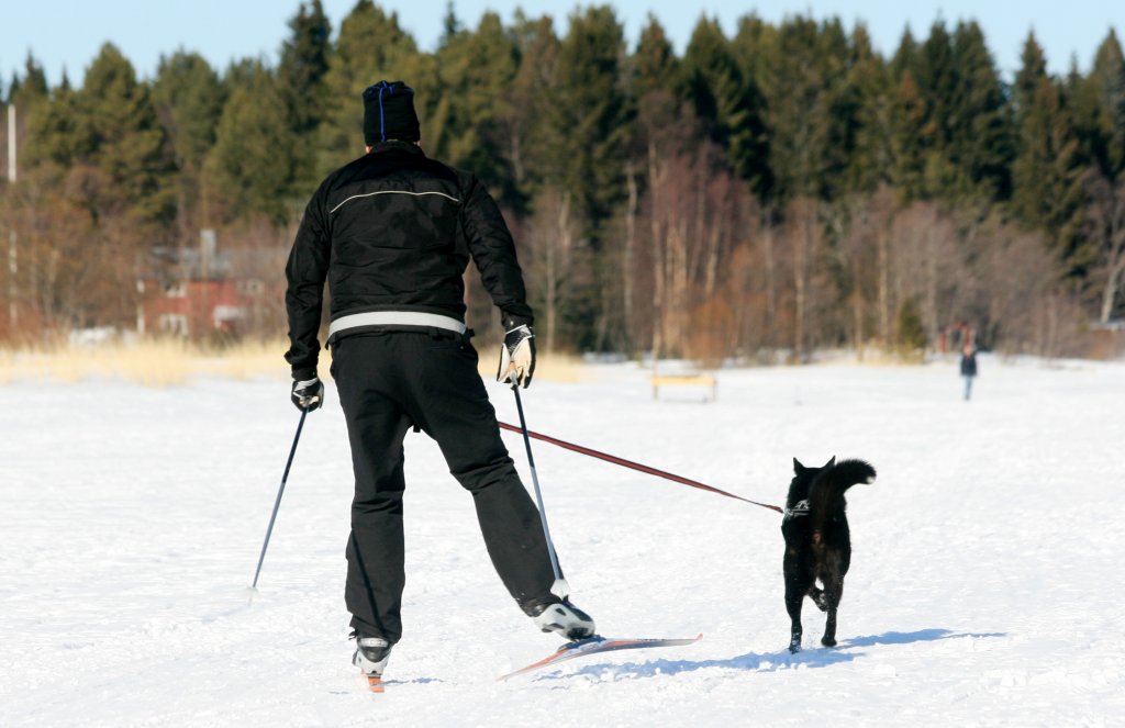 Softbelt Reflex Gul X1 (MJUKARE DÄMPNING)