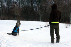 Softbelt Reflex Gul X1 (MJUKARE DÄMPNING)