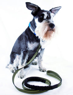 Halsband Easy Fit - Small ONE SIZE