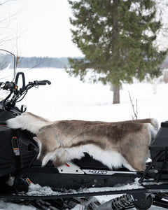 Förvaringspåse till Renfäll SVART / ONE SIZE