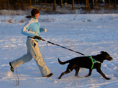 Softbelt Standard SVART / X1 (MJUKARE DÄMPNING)