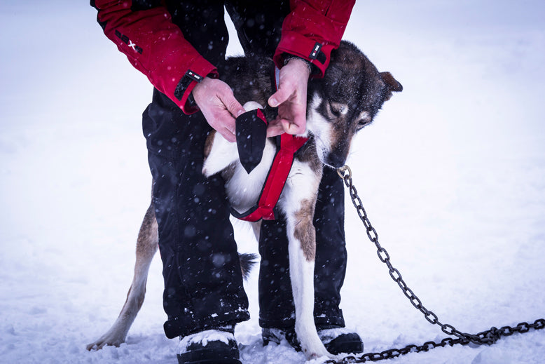 Sockor Cordura 20-pack SMALL