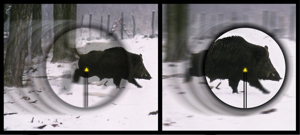 Accupoint 5-20x50 BAC-TRIANGEL - RÖD