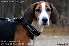 Halsband Halvstryp SVART / MEDIUM