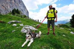 Koppel med Handtag SVART / ONE SIZE