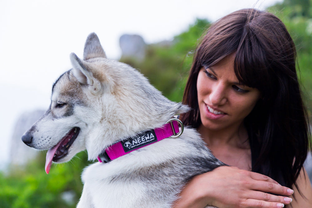 Halsband TP SVART / ONE SIZE