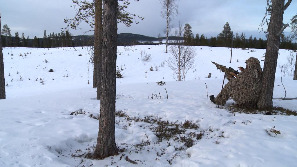 Rävlock 2- Nyckeln till framgång ONE SIZE