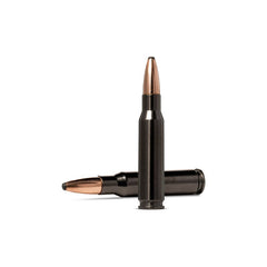 Oryx Silencer .308 WIN / 165 GR / 10.7 G / 20 ST