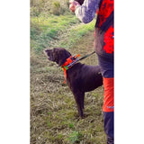 Halsband För 2 GPS M