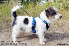 Joggingsele BLÅ / M