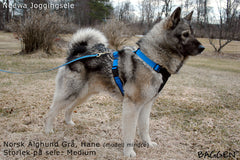 Joggingsele BLÅ / M