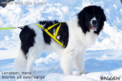 Sled Dog X-Back GUL / S