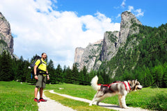 Sled Pro Dragsele RÖD / M