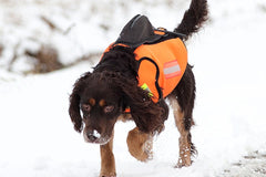 Väst GPS ORANGE / M