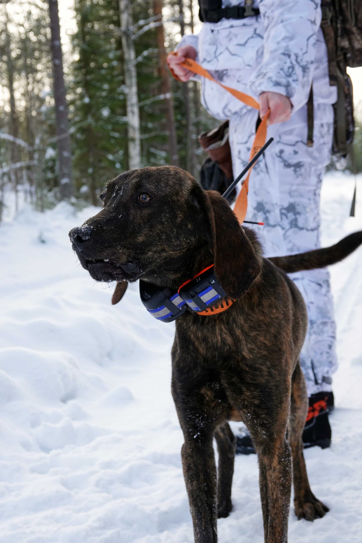 Lynx PRO Överdragsställ