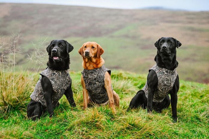 Neoprene Dog Vest