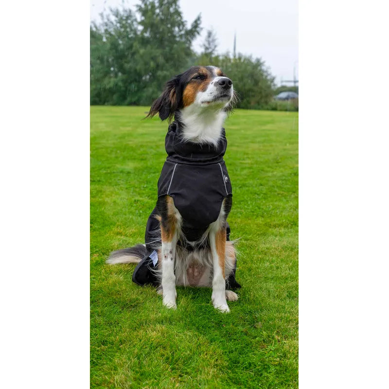 Regntäcke hund