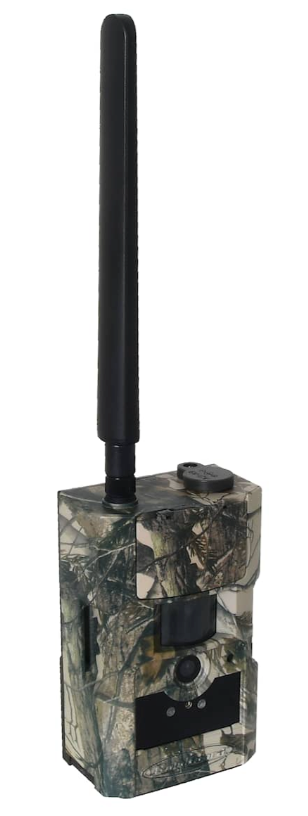 BG584-T2 V2 4G Åtelkamera