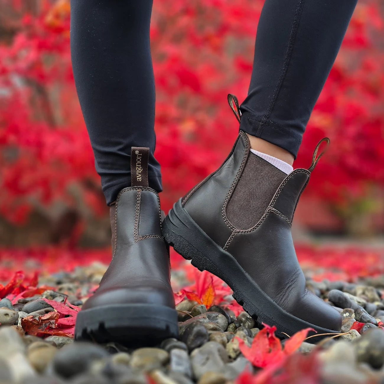 Darwin Jodhpurs läder